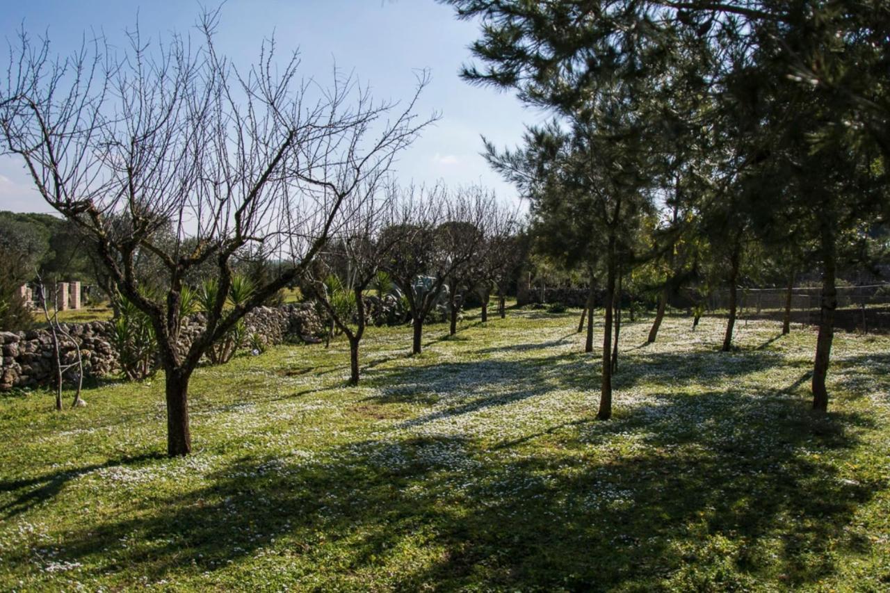 Casale Sombrino Konuk evi Supersano Dış mekan fotoğraf