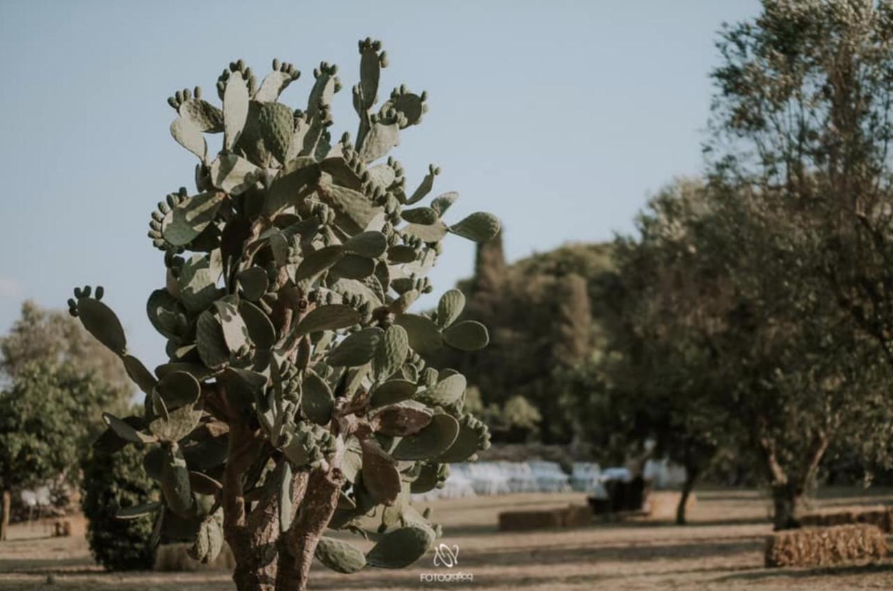 Casale Sombrino Konuk evi Supersano Dış mekan fotoğraf