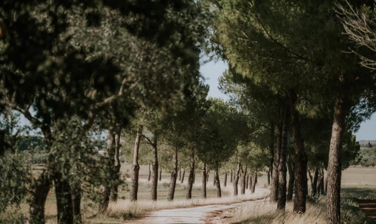 Casale Sombrino Konuk evi Supersano Dış mekan fotoğraf