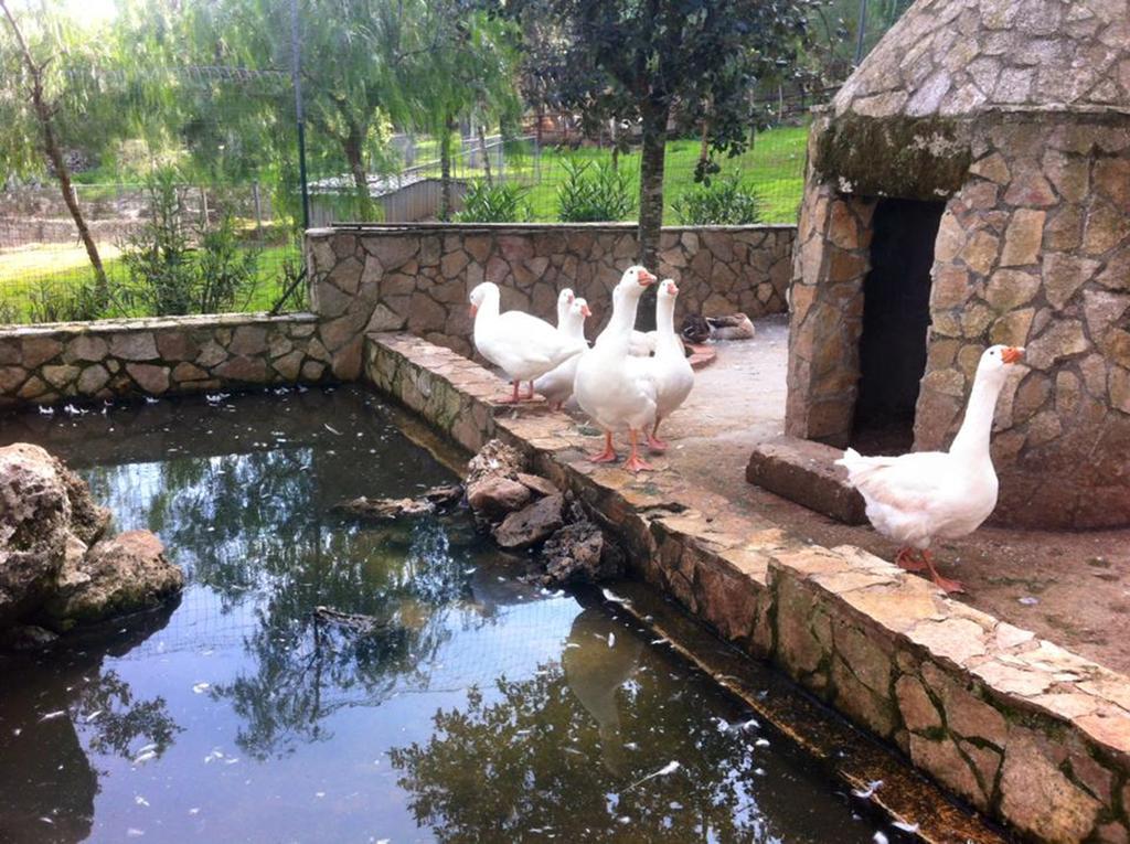Casale Sombrino Konuk evi Supersano Dış mekan fotoğraf