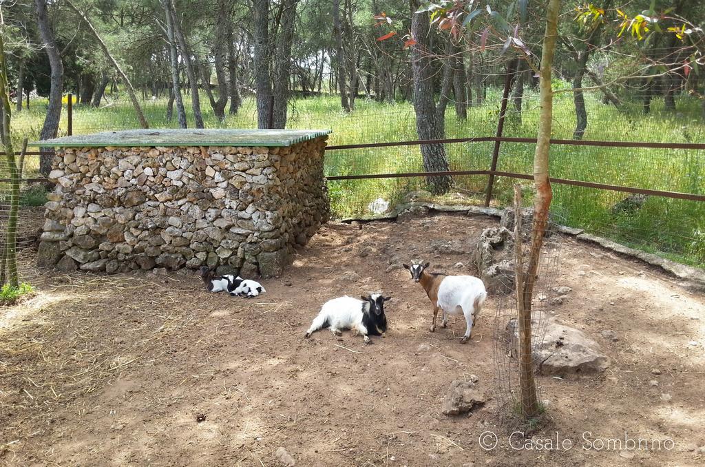 Casale Sombrino Konuk evi Supersano Dış mekan fotoğraf